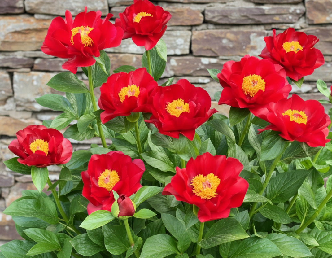 ‘The Mackinac Grand’