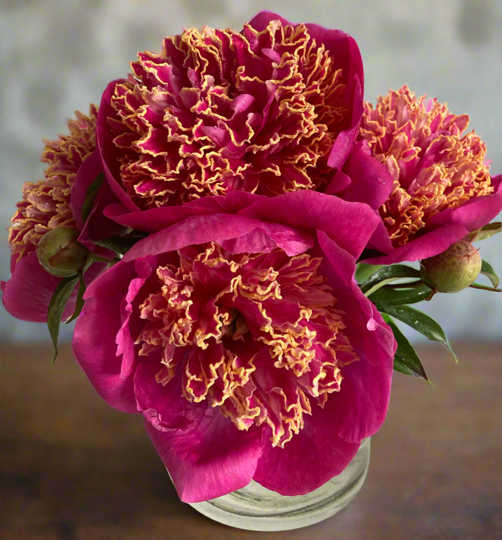 ‘Gilded Splendour’