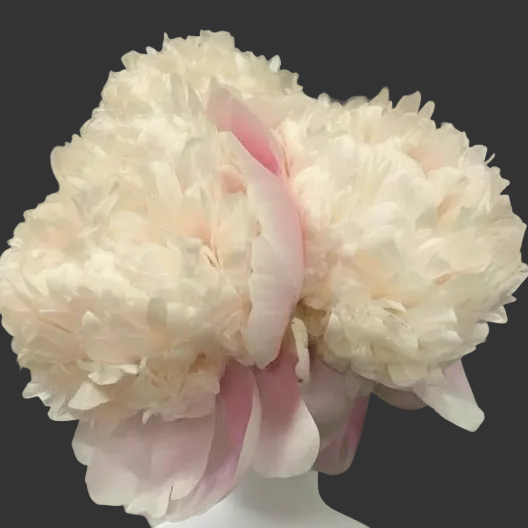 ‘Petticoat Flounce’