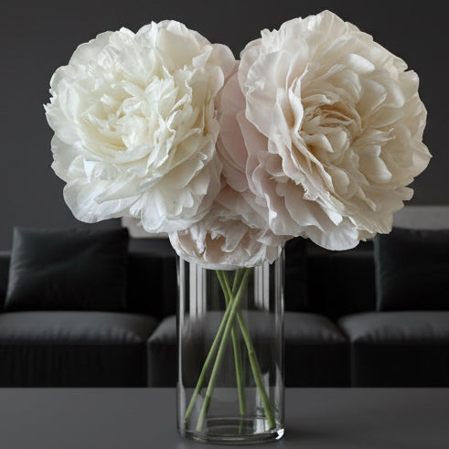 ‘Mother’s Choice’