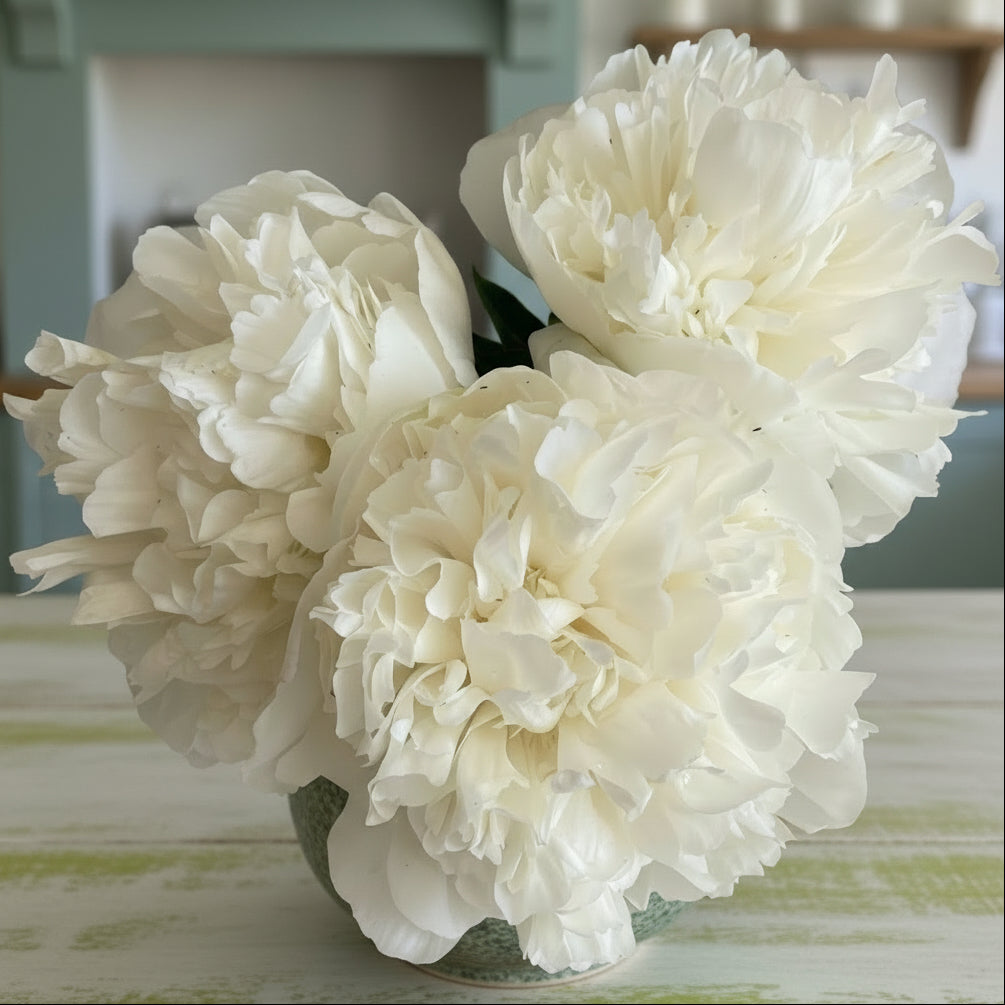 'Duchesse de Nemours'