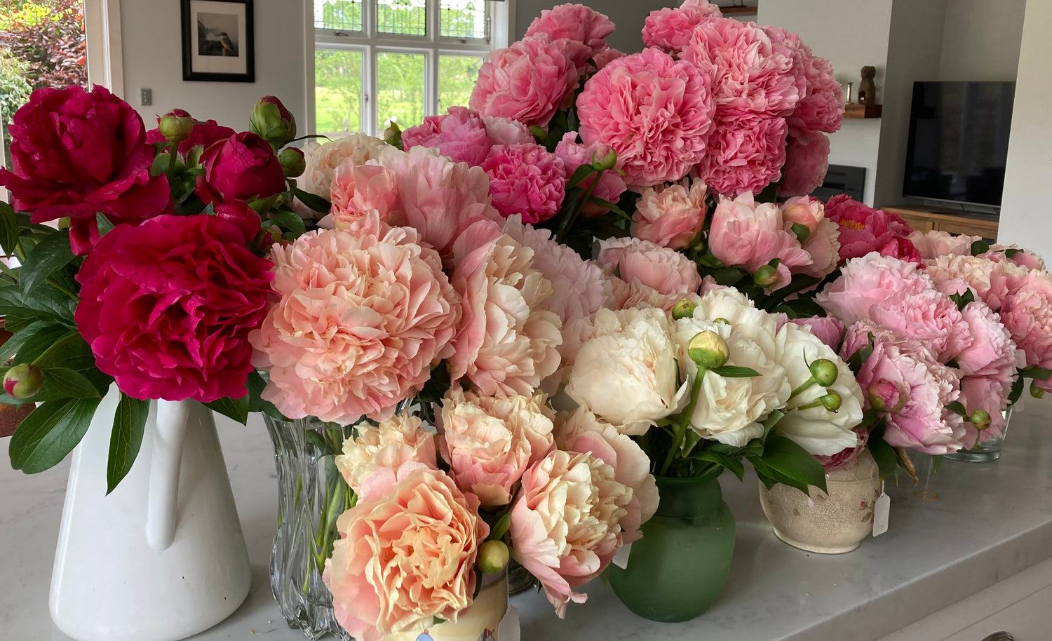 Exclusive World Releases 2026