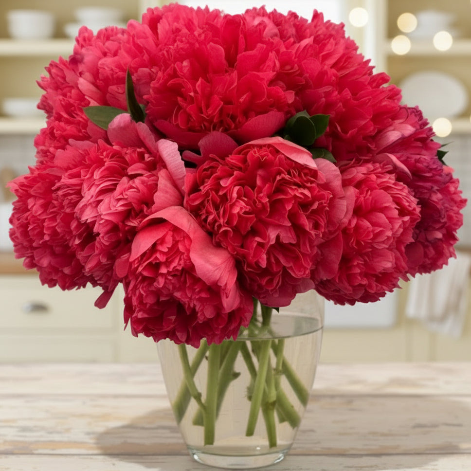 ‘Command Performance’