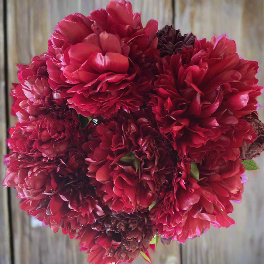 ‘Red Grace’