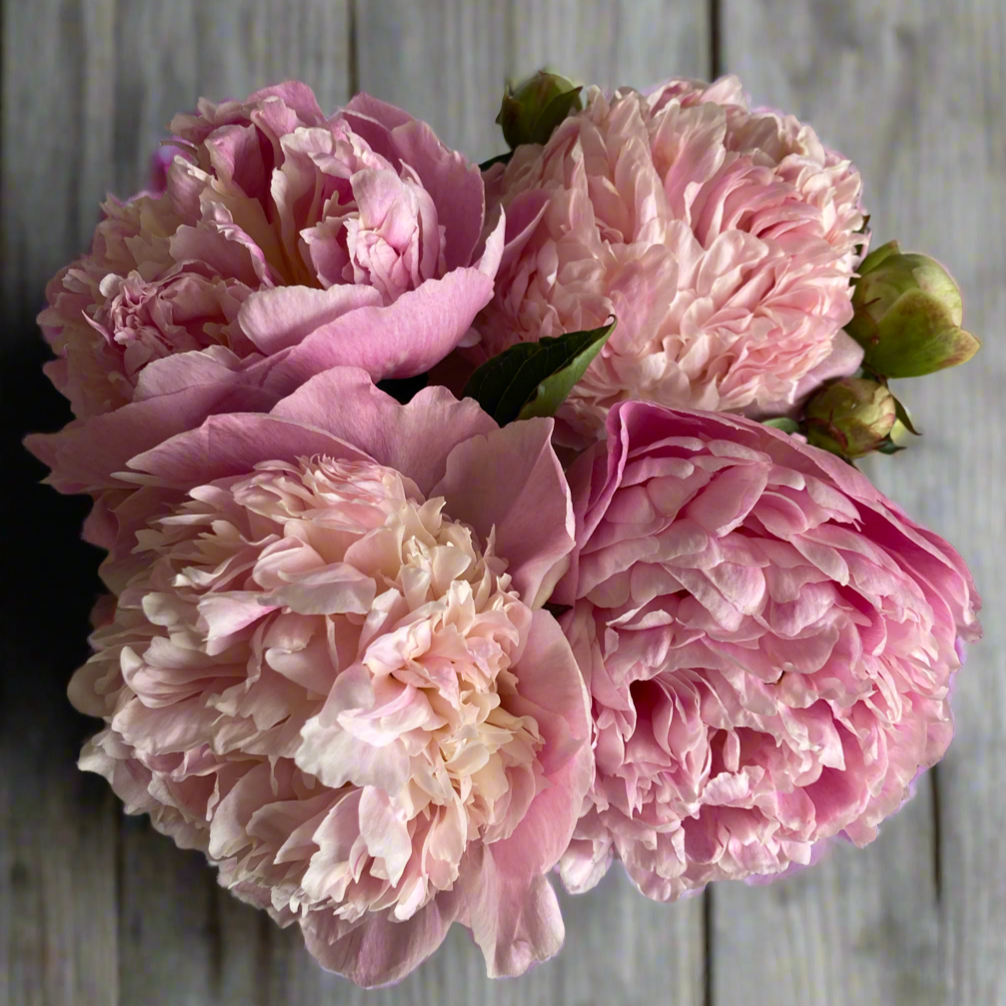 ‘Sweet 16’