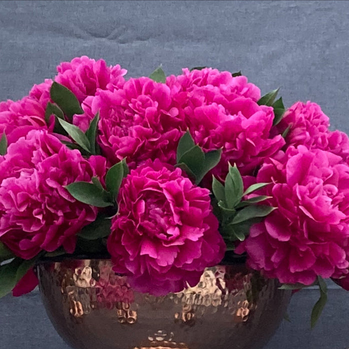 ‘Paul M. Wild’