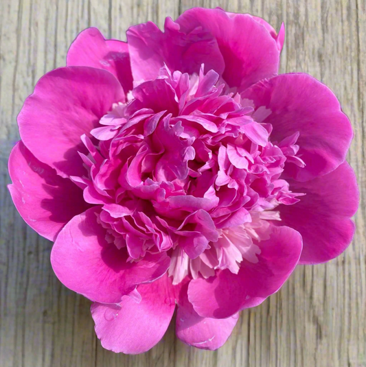‘Bouquet Perfect’