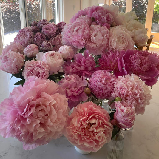 A Heartfelt Peonies Gift Card