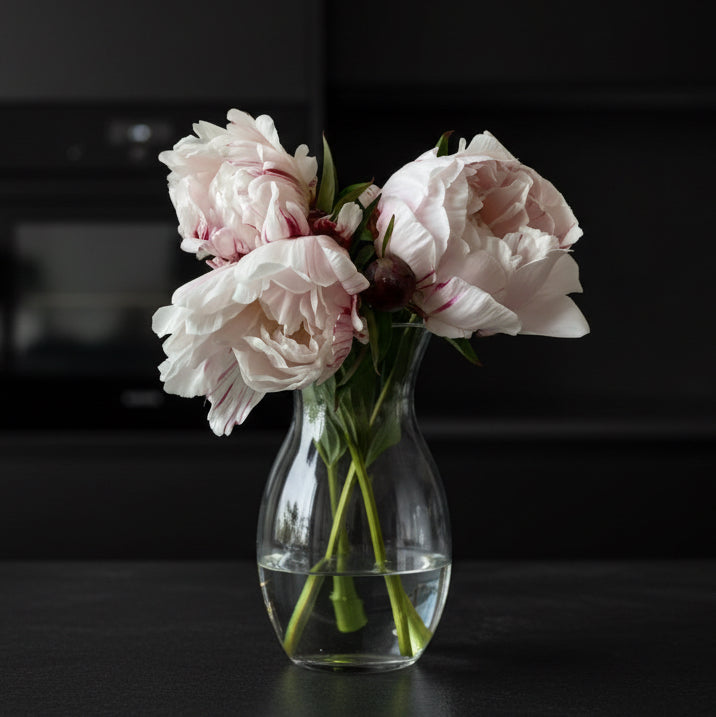 ‘Minnie Shaylor’