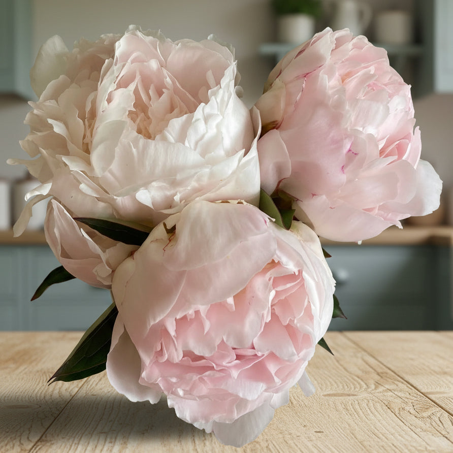 ‘Florence Nicholls’