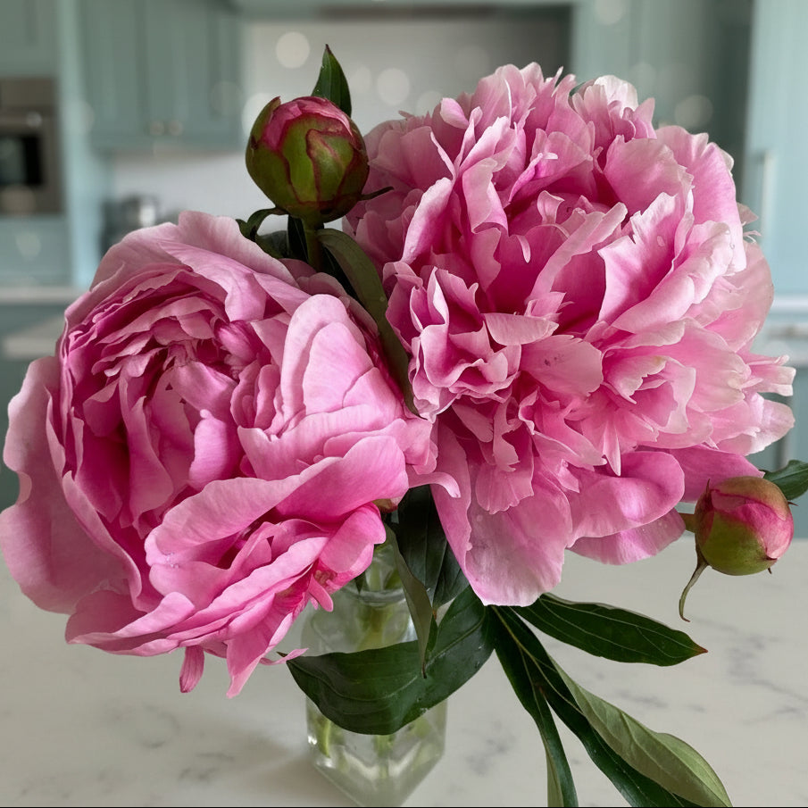 'Dr. Alexander Fleming'