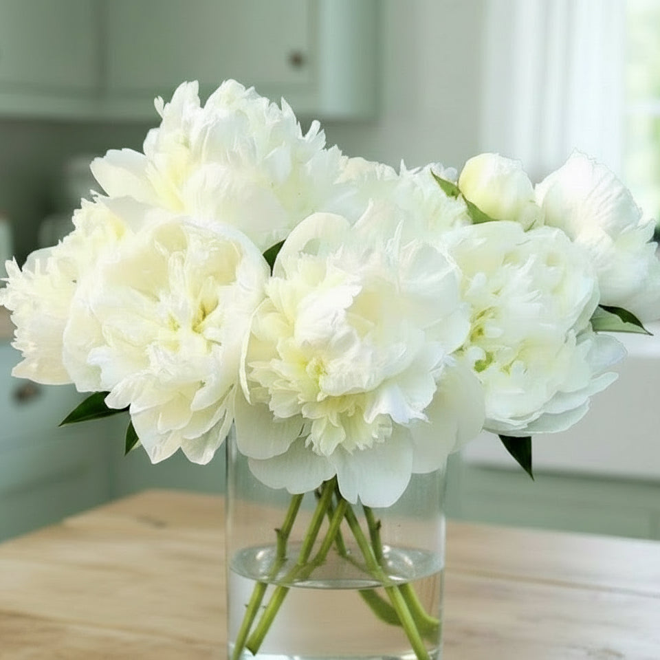 'Duchesse de Nemours'